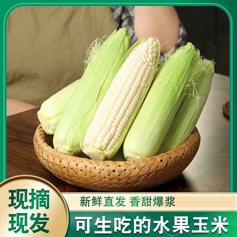 爆浆冰糖牛奶玉米甜玉米水果玉米当季新鲜现摘开袋即食可生吃玉米,水产肉类/新鲜蔬果/熟食,新鲜玉米,淘宝优惠券,粉丝福利购,淘宝优惠卷