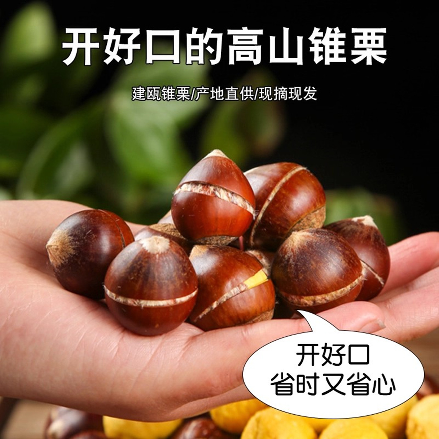 【开好口的锥栗】板栗生新鲜2025年高山建瓯锥栗油尖栗现摘毛栗子,水产肉类/新鲜蔬果/熟食,新鲜板栗/板栗仁,淘宝优惠券,粉丝福利购,淘宝优惠卷