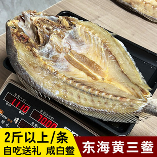 整条黄三鲞大黄鱼干白姑鱼鲞舟山海鲜干货年货送礼2斤 条咸白鲞