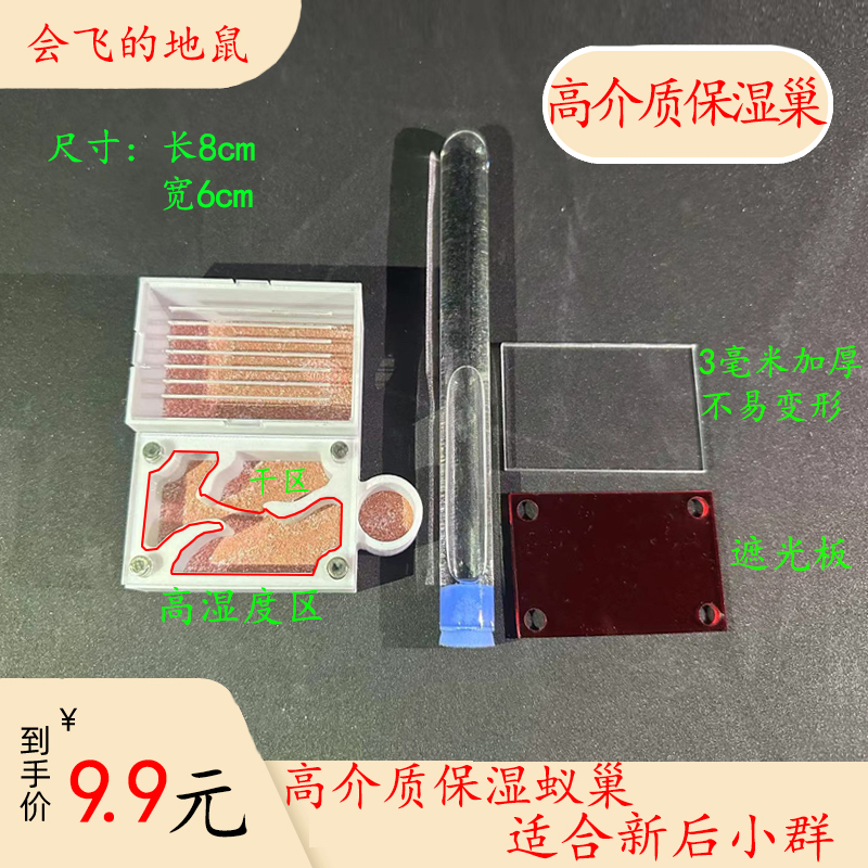 蚁巢介质高保湿猛蚁小群高介质保湿混凝土蚁巢蚂蚁工坊蚂蚁巢