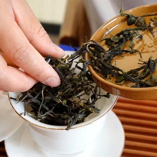 2025云南普洱茶梅子箐锅底塘古树晒青茶150克资深茶友入核心产区