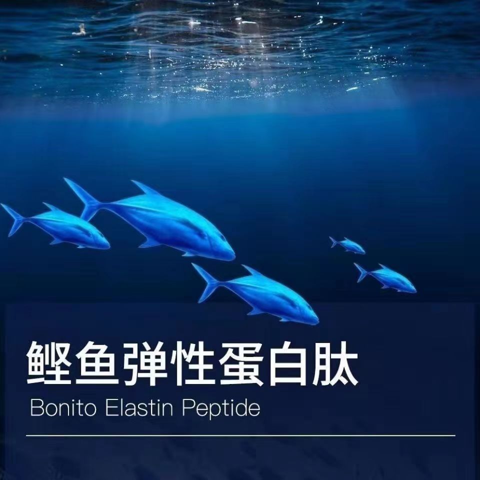 日本林兼鲣鱼弹性蛋白肽食品级99%纯粉弹力蛋白鲣鱼 胶原蛋白搭档