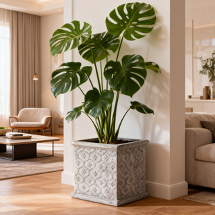 方形镁泥盆绿植花卉田园盆栽花盆正方地面大口径阳台简约绿植盆栽