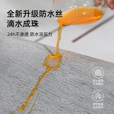地毯客厅2204新款轻奢级发毯灰色卧室免洗可擦全沙铺免NXY打理高