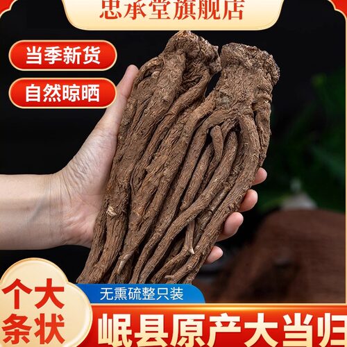 大当归整根无硫中药材500克泡水