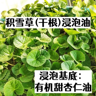 积雪草浸泡油100mL