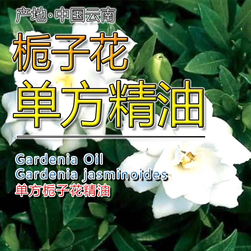 栀子花精油5mL