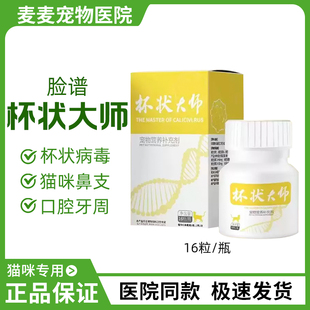 脸谱杯状大师清泌大师猫咪杯状喷嚏流泪口腔牙周