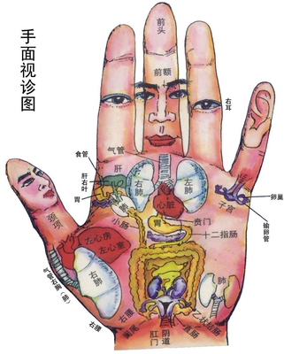 手面手掌视诊全息图广告海报墙贴