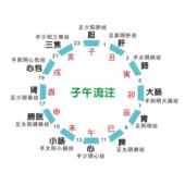 中医 子午流注贴纸五行与五脏海报海报养生馆美容院海报自粘贴画