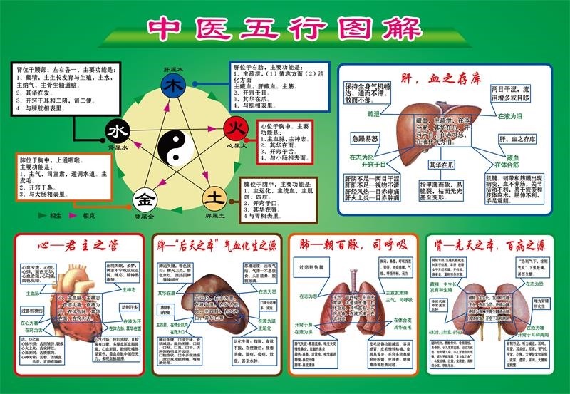 海报印制海报展板素材(制作)中医阴阳五行图解墙贴墙纸挂图