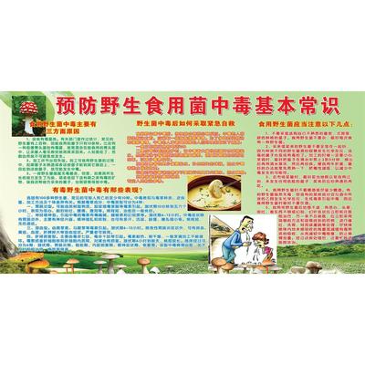 预防野生菌食用菌中毒基本常识海报宣传贴纸小区宣传栏贴纸挂画