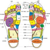 足部反射区图海报广告美容院养生馆足疗足浴装 饰画广告贴画贴纸