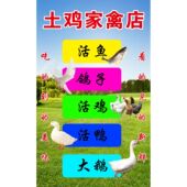 活鸡现杀广告海报定制出售土鸡蛋帮忙杀家禽鸡鸭鹅鸽子鱼海报贴纸