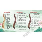 颈椎引起 饰画展板 病症海报贴纸中医养生理疗馆墙贴纸宣传挂画装