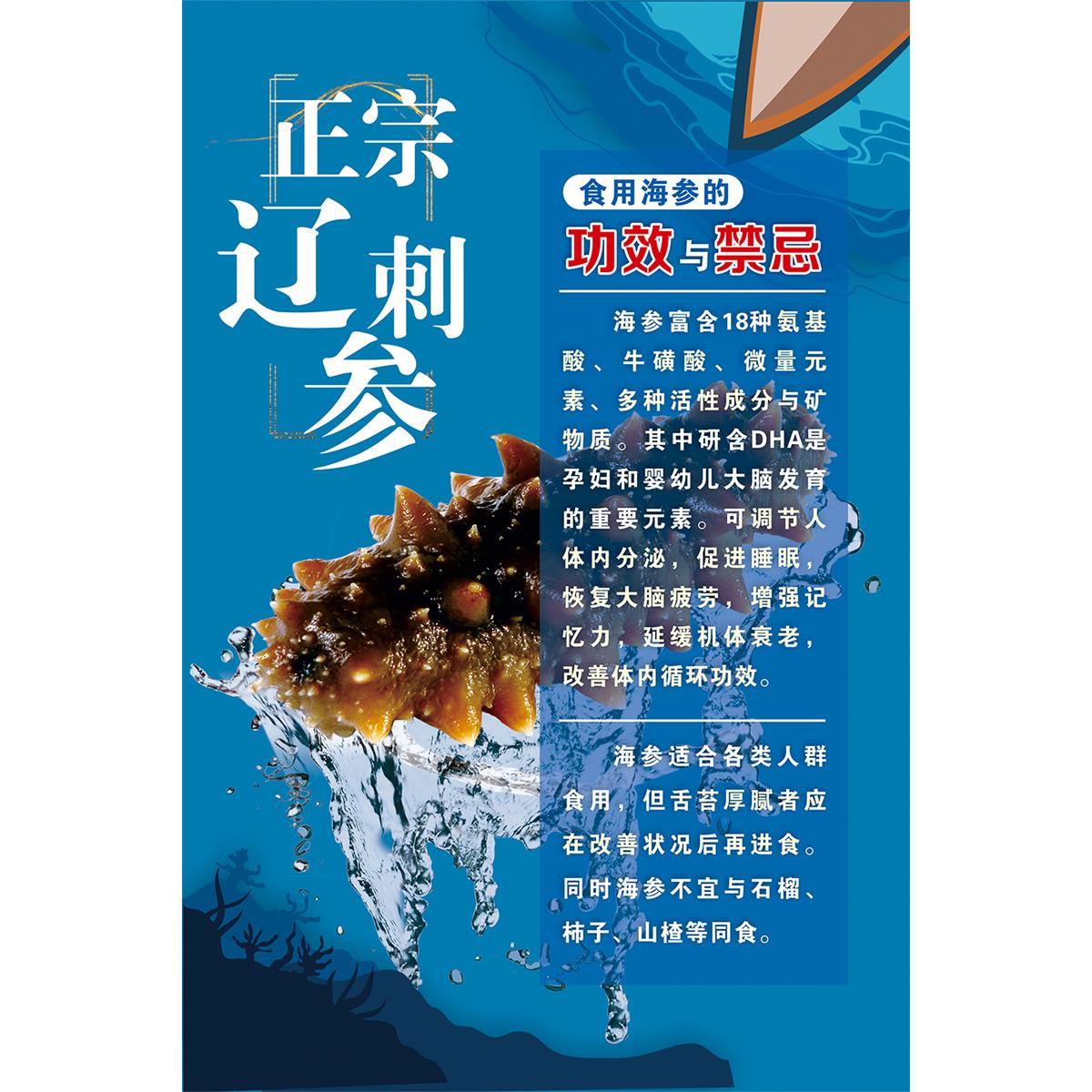 海参海报即食海参宣传画广告滋补品店墙壁装饰画海产品墙挂画