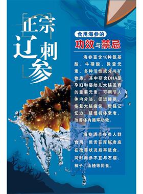 海参海报即食海参宣传画广告滋补品店墙壁装饰画海产品墙挂画