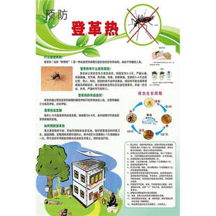 预防伊蚊引起的登革热健康教育宣传栏墙贴纸挂图海报印制kt板
