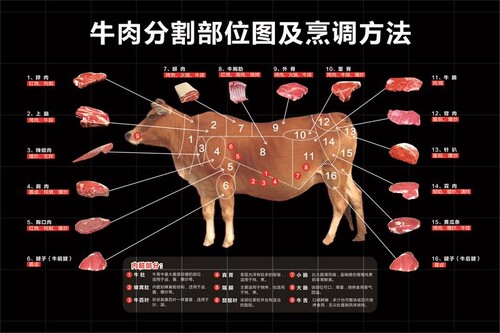 猪肉牛肉分割部位图及烹调方法牛肉分割图牛肉分割图贴纸海报挂图