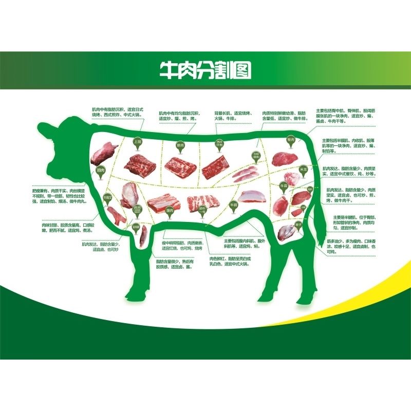 牛肉分割图海报贴纸墙贴鲜牛肉分解图壁画排酸牛肉分解图贴纸海报