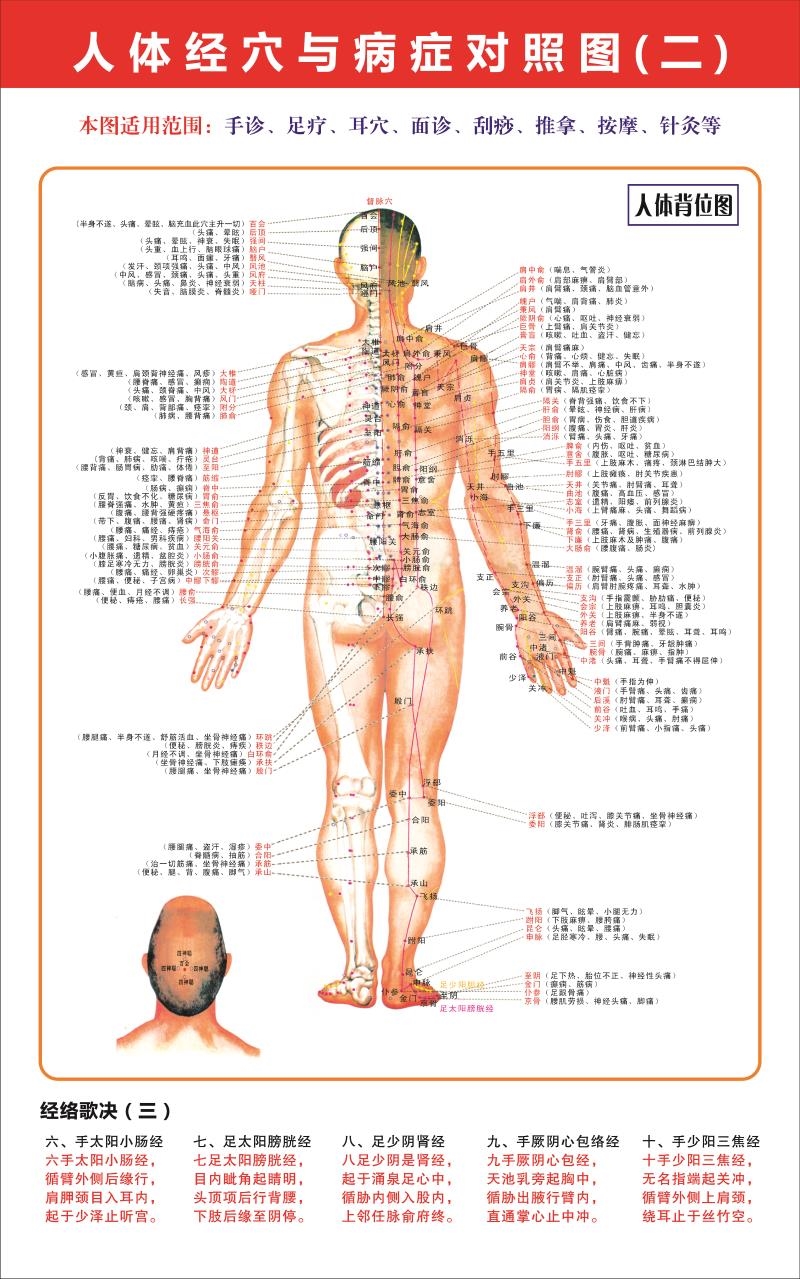人体经络穴位图标准大挂图中医病症对照画全身挂画针灸海报图高清