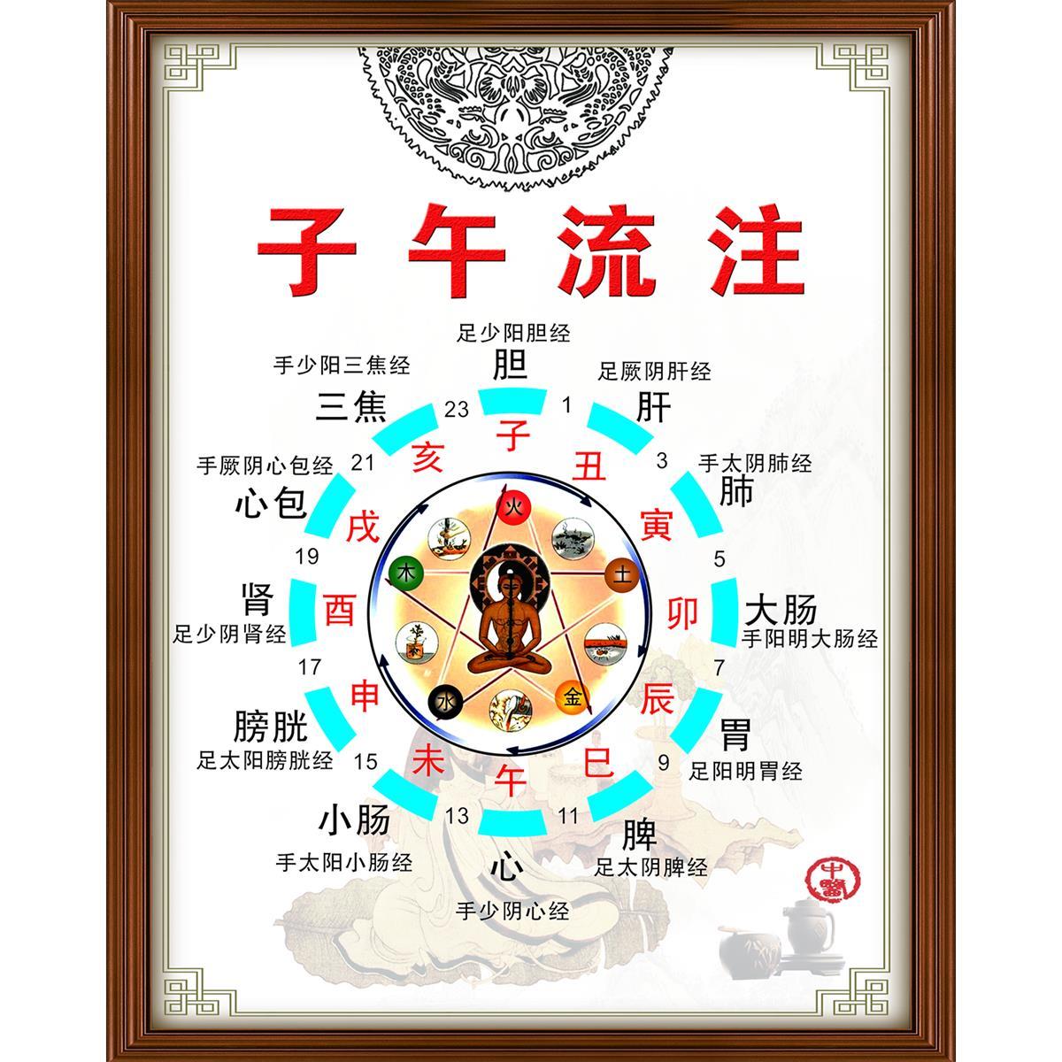 中医养生保健五行子午流注图装饰画写真海报印制展板喷绘墙贴纸挂