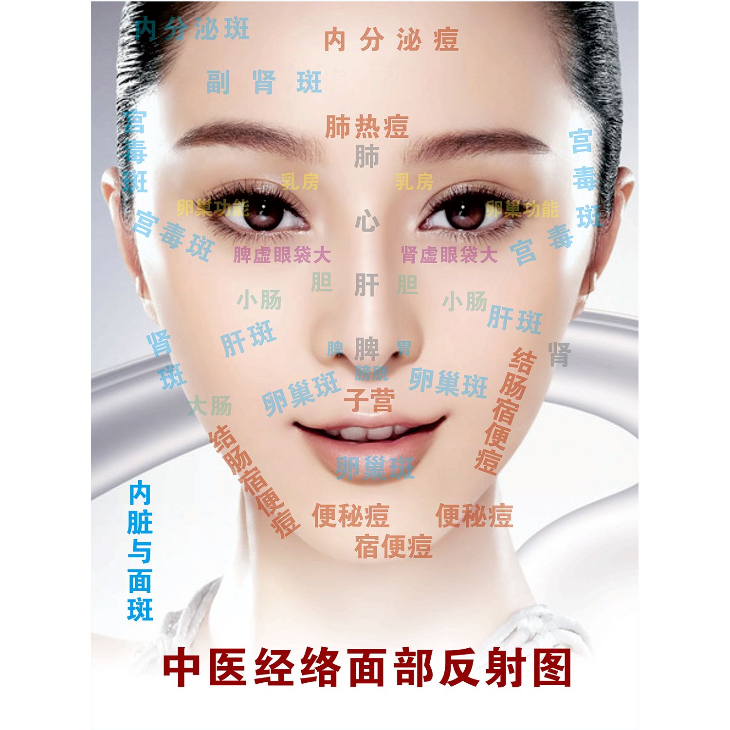 中医面部经络反射图刮痧示意图穴位经络挂图按摩海报装饰画