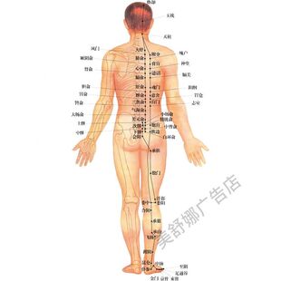 经络不通的危害性中医养生理疗馆美容院海报贴画贴纸墙面贴画