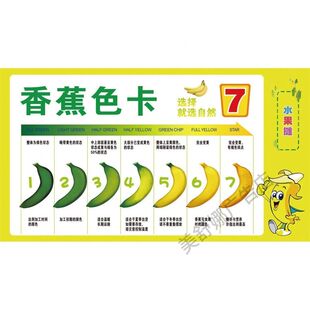 香蕉色卡海报展板广东本地群蕉荟萃有机大香蕉天然香蕉墙贴墙纸