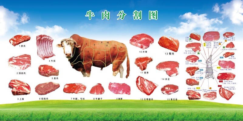 排酸牛肉分割分解部位图牛排店装饰壁画猪肉分切图海报贴画墙贴纸