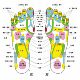 脚底反射示意图海报展板全息足穴图右脚底左脚底足部穴位图墙贴纸