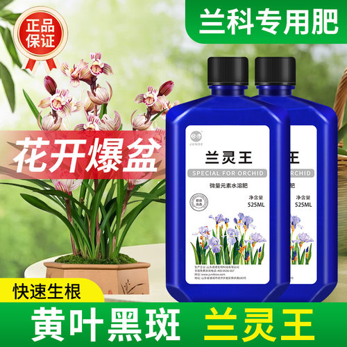 墨兰石斛兰花专用营养液肥料君德
