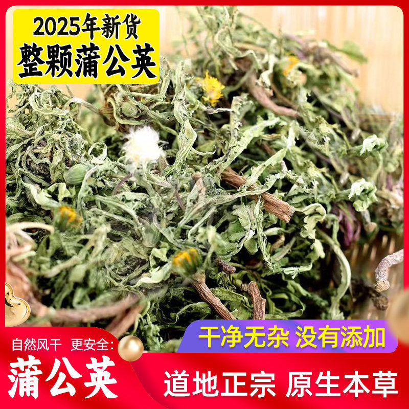 天然整根蒲公英500g原本草正品新货婆婆丁蒲公英泡茶蒲公英根泡茶