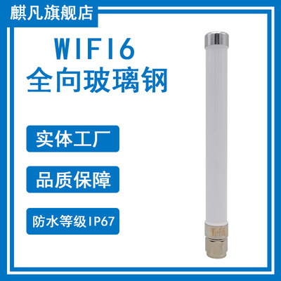 wifi6玻璃钢天线2.4G5.8G防水