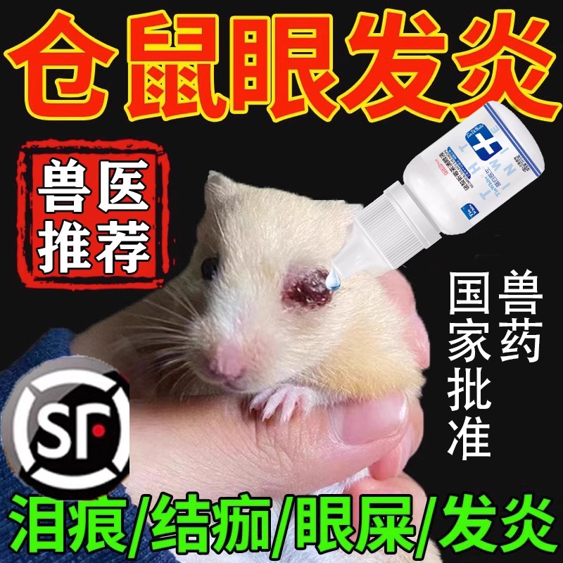 仓鼠眼药水卷毛金丝熊眼睛发炎流泪抗菌消炎降火红肿去眼屎滴眼液
