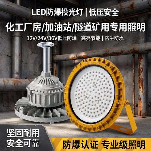 led防爆灯低压12v24v36v化工厂房车间加油站投光灯隧道矿用照明灯