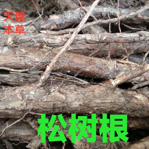松根中药材山上野生松树根松叶松笔头松球松树皮新鲜干货250克