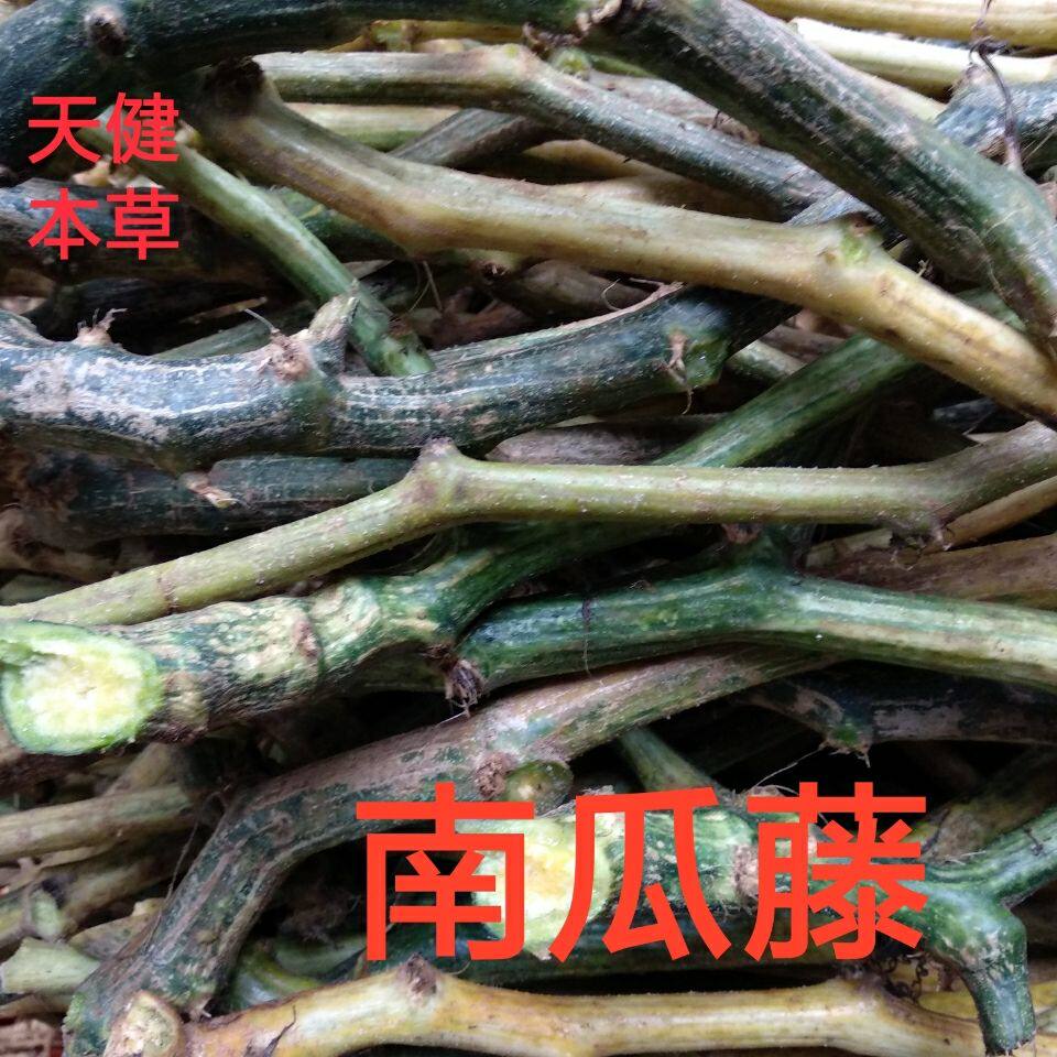 南瓜藤新鲜中药材包邮