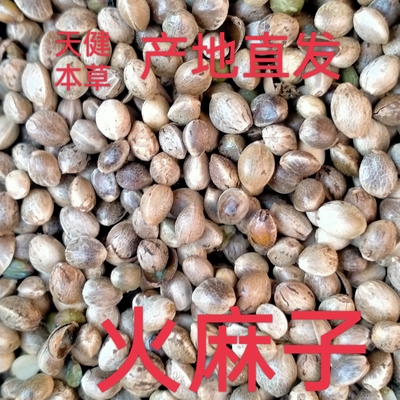 火麻子中药火麻仁今年新货产地直发火麻茎叶火麻草黄麻线麻汉麻