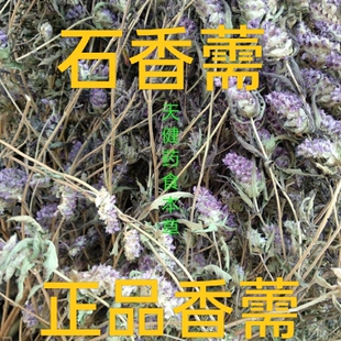 石香薷中药香薷草石香葇华荠苎鱼香草香茹香茅七星剑五香草干货