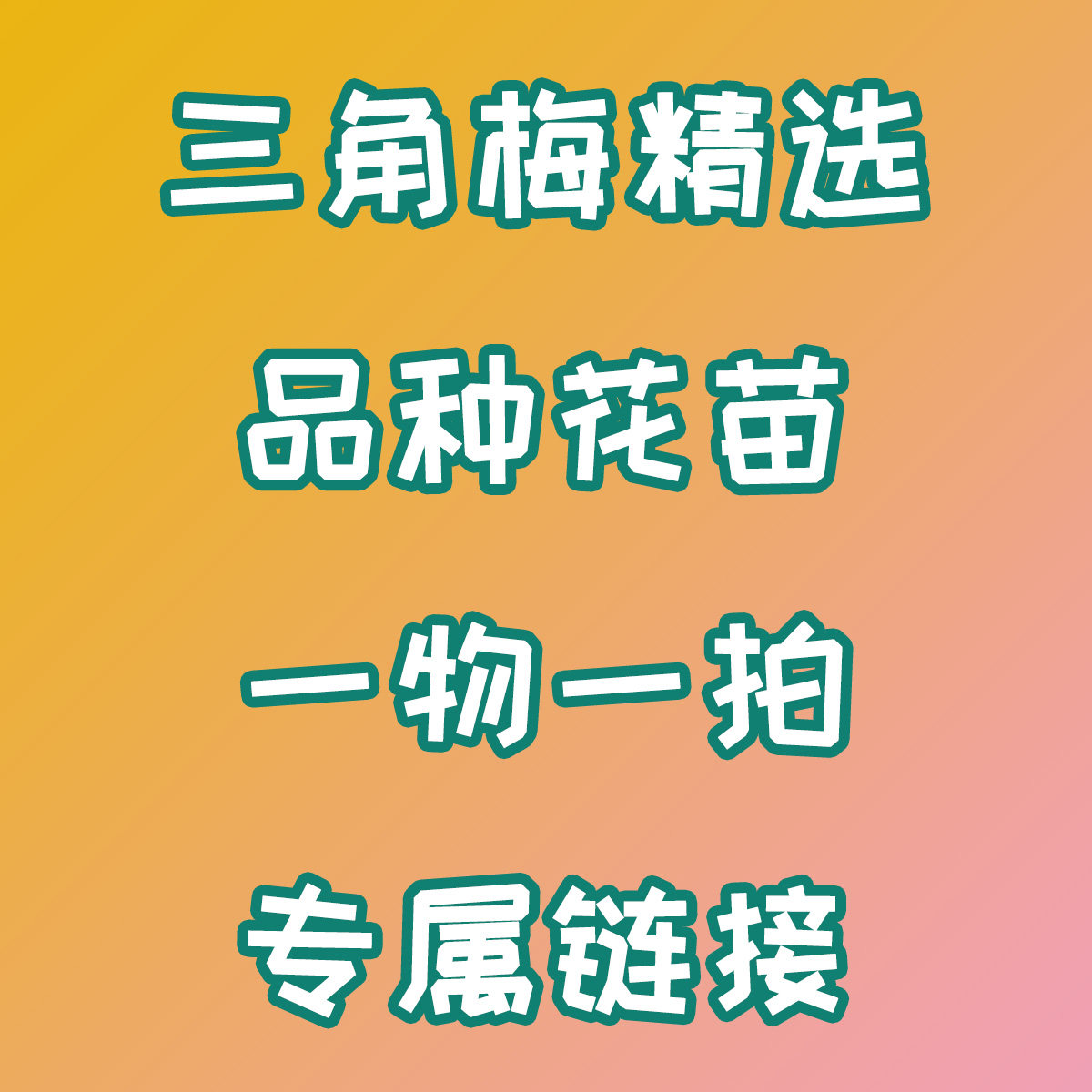 花相随 淘宝店铺  三角梅品种苗一物一拍链接