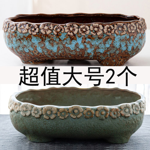 碗莲睡莲大水培铜钱草金钱草陶瓷