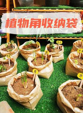 幼儿园春天自然区域植物角环创种植主题收纳牛皮纸袋装饰布置材料