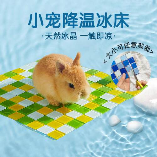 兔子夏天降温冰垫仓鼠降温板龙猫荷兰猪消暑凉席散热水晶垫子冰窝