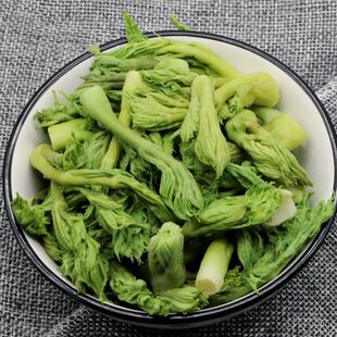 东北特产刺嫩芽山野菜刺老芽龙芽野山珍炒菜做馅儿蘸酱菜包邮