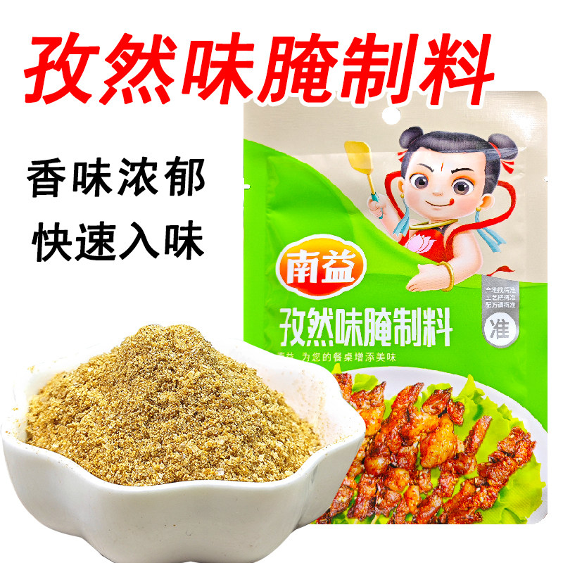 南益 孜然味腌制料烧烤调料烤羊肉串腌料猪肉串调料腌肉料45克/袋