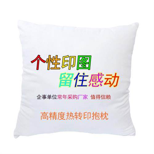 源头厂家热转印抱枕定制加工来图定做照片抱枕套抱枕礼品定制