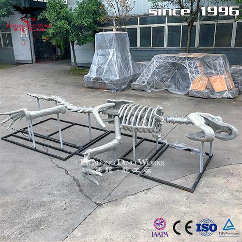 玻璃钢霸王龙化石骨架树脂混合材质商场中庭美陈自贡恐龙厂家