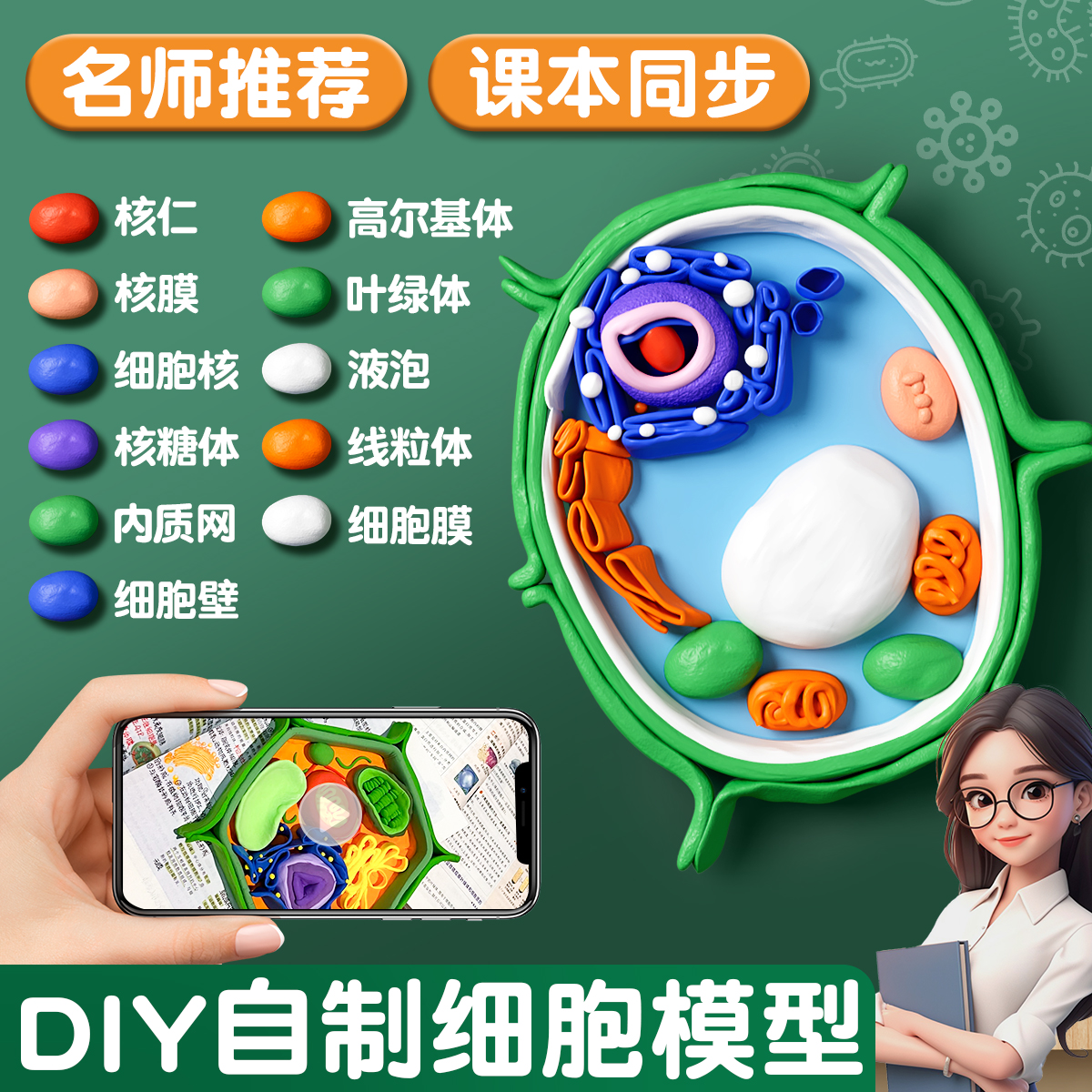 动植物细胞结构模型手工制作简易立体真核材料包全套七年级初一高中生物作业细菌diy粘土自制初学生