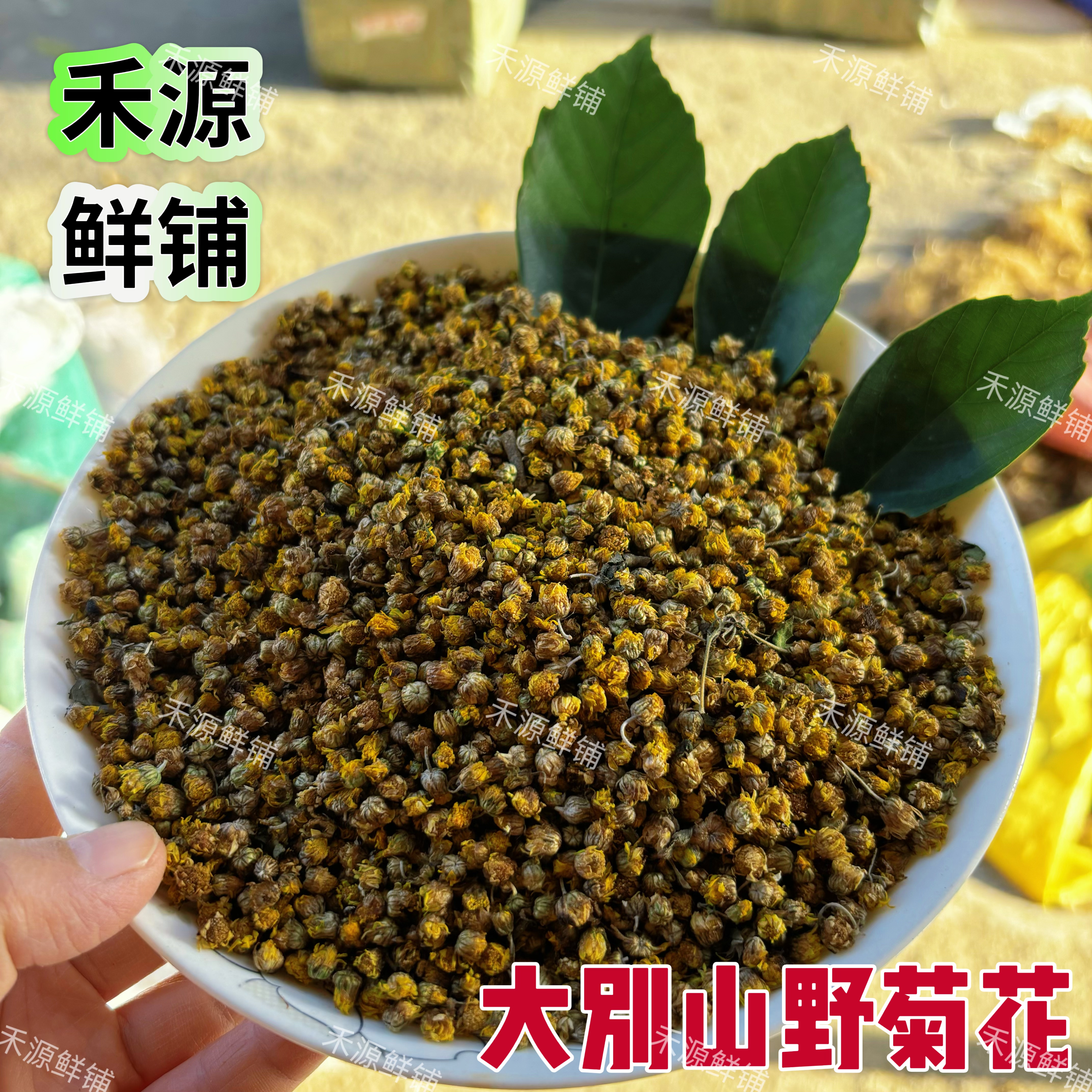 野菊花茶小野菊花中药材正宗大别山野菊花小野菊干花无硫新货包邮